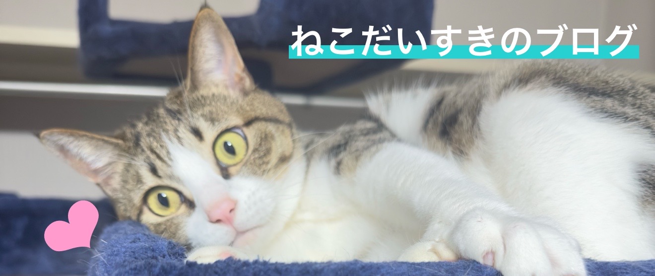 ねこだいすきブログTOP画像